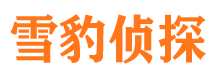 岷县侦探公司